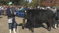 過去最高額の5259万円…松阪牛の品評会で選ばれた“今年のNo.1” 津市の精肉店・朝日屋が落札
