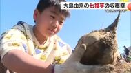 “幻のサツマイモ”七福芋を収穫　新居浜で家族連れらが秋の味覚満喫【愛媛】