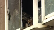 ビル火災で高齢女性が死亡　助けに向かった男性2人ケガ　東京・大田区