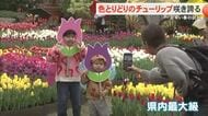 色とりどりのチューリップ咲き誇る熱帯ドリームセンターで今月8日まで