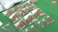 広島県内の大麻検挙、過去最多　若者へのまん延が深刻な状況 「ＳＮＳ普及により入手が容易になっている」