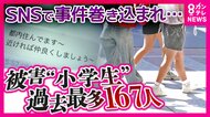“大半は性被害”「SNSきっかけで犯罪被害あった小学生」過去10年で最多「167人」親の警戒薄い“学習アプリ”で接触も　京大・藤井教授「海外のように“子供のSNS利用禁止”検討に値する」