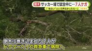 「“危ない！”の声がなかったら…」サッカー場で倒木 未就学児を含む7人ケガ　樹木医が考える原因は？警察が実況見分