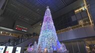 4万個の電球に花のカーテン…映えるツリーが登場 名古屋駅前5カ所のイルミネーションを一挙紹介