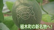 くまモン模様入りメロン 熊本県の許諾受ける