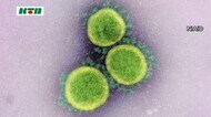 【速報】医療関係の新規クラスターも…長崎みなとメディカルセンターなどで確認相次ぐ
