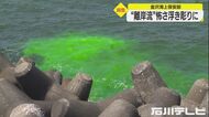 “10分程で約50m”沖へ流される…海の事故原因にもつながる『離岸流』 海保が海岸で実地調査