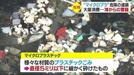 影響は生態系だけでなく人体にも… 県内の海にも迫る“危機” 「マイクロプラスチック」の現状は【愛媛】