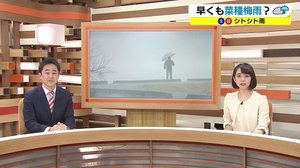 早くも菜種梅雨?朝はGW級の暖かさ