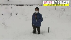 盛岡で初雪 約760戸で一時停電 県内各地で倒木<岩手県>