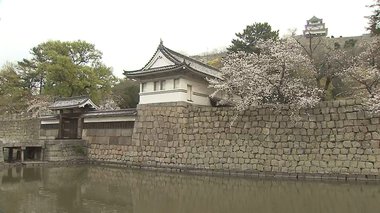 丸亀城で桜が見頃…新型コロナの影響でイベント中止も城内散策で楽しめる【香川発】