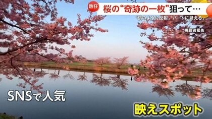 各地で桜“開花ラッシュ”！「ハートが見える」“奇跡の一枚”狙い映えスポットに観光客殺到　枝引っぱり撮影する外国人観光客の迷惑行為も