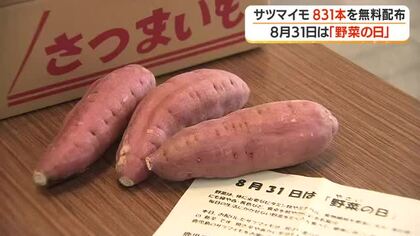 8月31日は「野菜の日」　サツマイモ831本無料配布