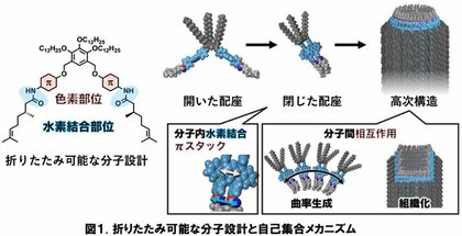 分子の折りたたみが導く多様なメゾスコピック有機素材～立体的に複雑な分子の自己組織化によるチューブ構造構築を実現～