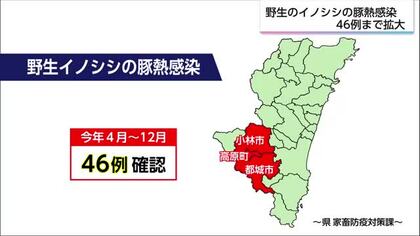 野生イノシシの豚熱感染46例目まで広がる　宮崎県は感染拡大防止対策を進める