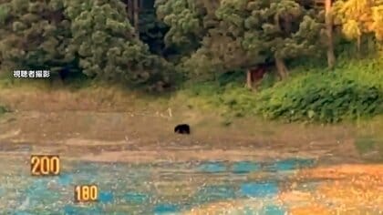 クマがゴルフ練習場に現れる　現場は一時騒然　40人ほどの客は刺激しないよう状況見守る　秋田市
