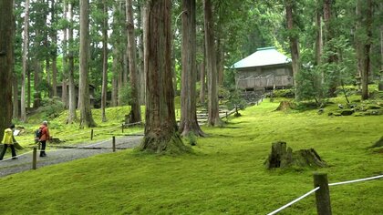 江戸幕府が定めた33年に1度の「御開帳」　みずみずしい苔の緑輝く境内「平泉寺白山神社」　“女神”が姿を現す
