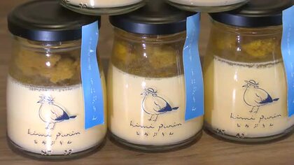 新感覚スイーツ「ひみウニプリン」誕生！　高校生が地元海岸の「磯焼け」問題に挑む