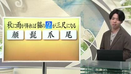 【天気／山形】天気ふりかえり＆秋に雨が降るとネコの？？が三尺になる　中村友祐気象予報士の予報(1)