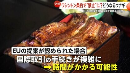 【鰻がピンチ？】「廃業も出てくるんじゃないか」EUがワシントン条約で“ウナギ全種類”の国際取引規制案準備　日本は約7割が輸入依存で価格高騰の可能性も