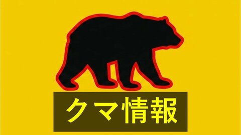 山口市の国道でクマの目撃情報　体長約１メートル　警察が注意を呼びかけ