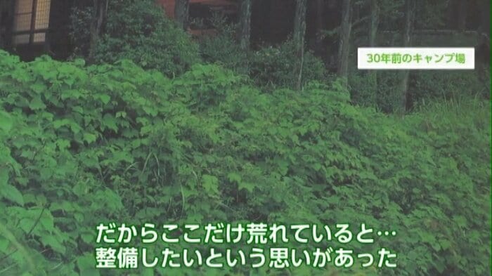 キャンプ場になる前の田んぼ。耕作放棄地だった