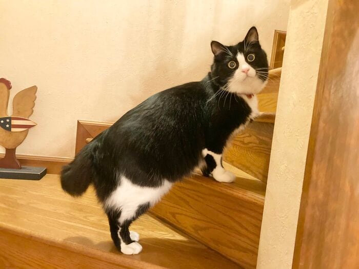提供:もちぞう ですが。さん