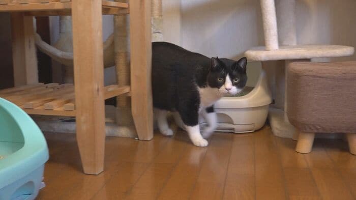 ちょっぴり警戒モード？