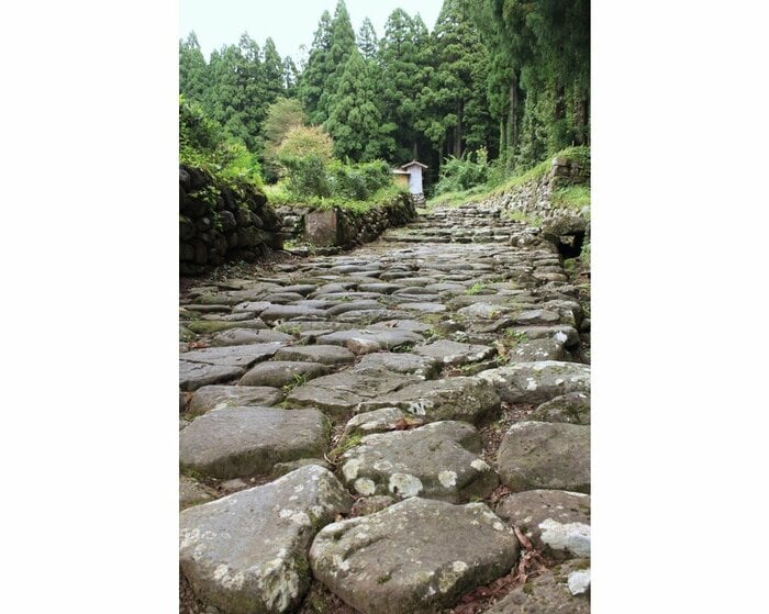 南谷で発掘された石畳道と坊院跡の石垣