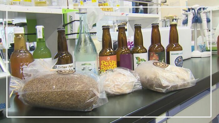 児玉特任教授は鳥取大時代にサクラなどから「酵母」を抽出 クラフトビール、日本酒、パンなどの商品開発