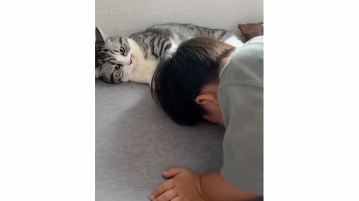 まるで土下座をしているかのよう…