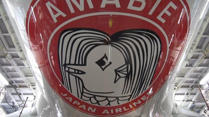 機体に「アマビエ」が描かれた航空機(日本航空提供)