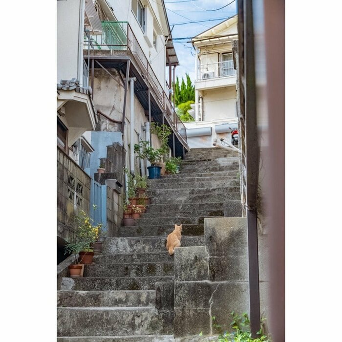 兵庫県神戸市長田区堀切町(2023年2月撮影)