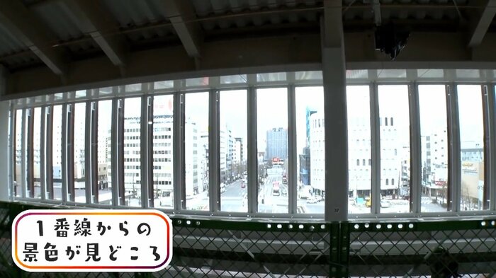 大通りを一望できる