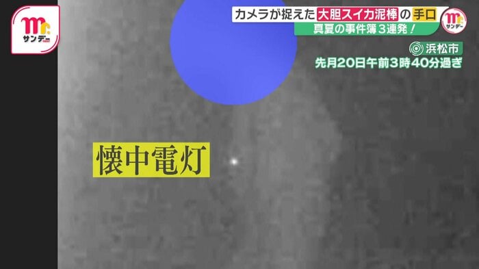 懐中電灯を持ち、畑の中を進む男