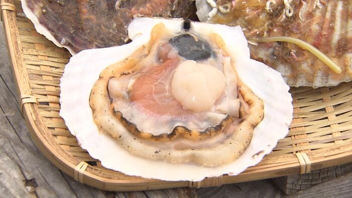 中国政府は日本産水産物の輸入再開を決定したが再び停止に