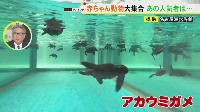 ニュースONE