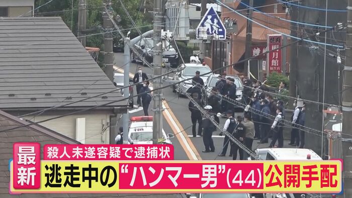 「旬感LIVE とれたてっ！」より