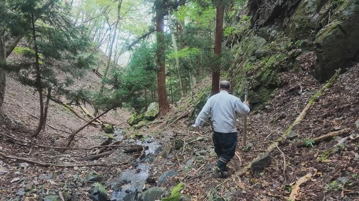 自らの山林へ足を運び被害の状況を確認する佐々木さん
