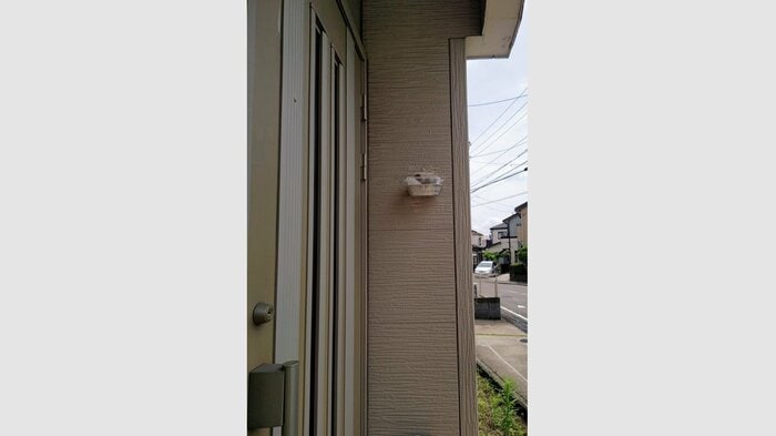 初めは玄関横の壁に(提供:ぶちゃ川ファミリーランドさん)