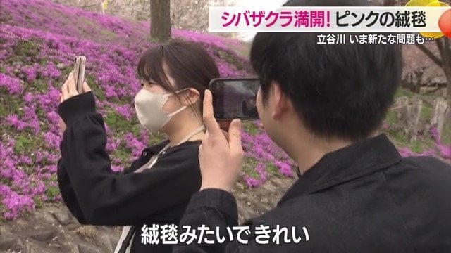 訪れた人に癒しの時間を提供してくれる