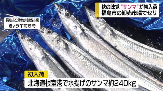 秋の味覚・サンマが初入荷!不漁で例年よりも一週間遅く(福島県)