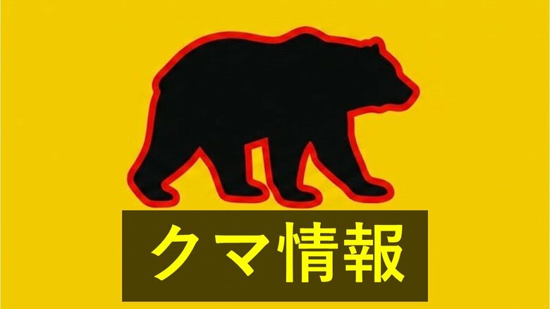 「車両で通行中、前方をクマのようなものが横切った」山口県美祢市でクマの目撃か｜FNNプライムオンライン