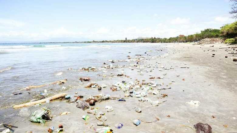 歯磨き粉が海のゴミに？ 『海洋プラスチック憲章』に日本がサインしなかったワケ