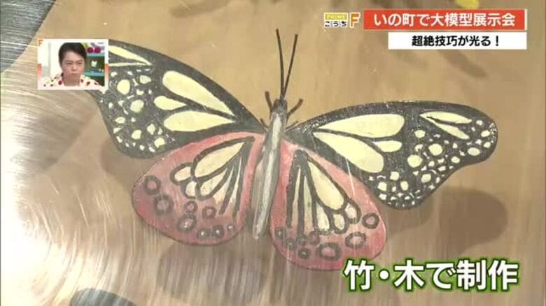 戦車や昆虫の標本…超絶技巧が光る　愛好家たちが作った≪高知家の大模型展示会≫【高知】｜FNNプライムオンライン