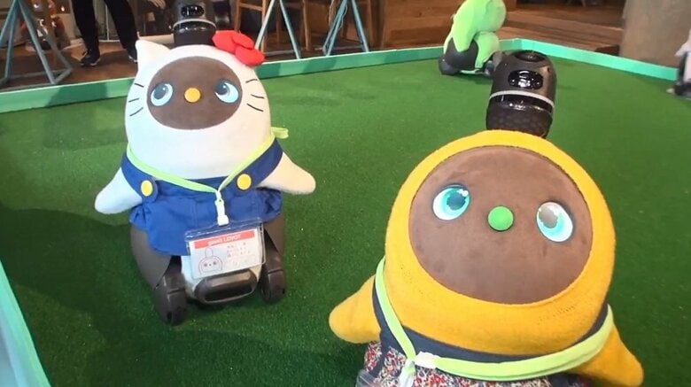 “ロボ友”交流カフェが渋谷にオープン　ロボットランにロボ見知り？「ロボットは家族」の新しい価値観｜FNNプライムオンライン