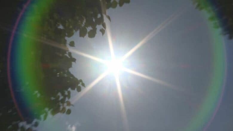 「熱中症特別警戒アラート」4月22日から運用開始　暑さ指数「35」予想で発表　「熱中症警戒アラート」は「33」予想で発表｜FNNプライムオンライン