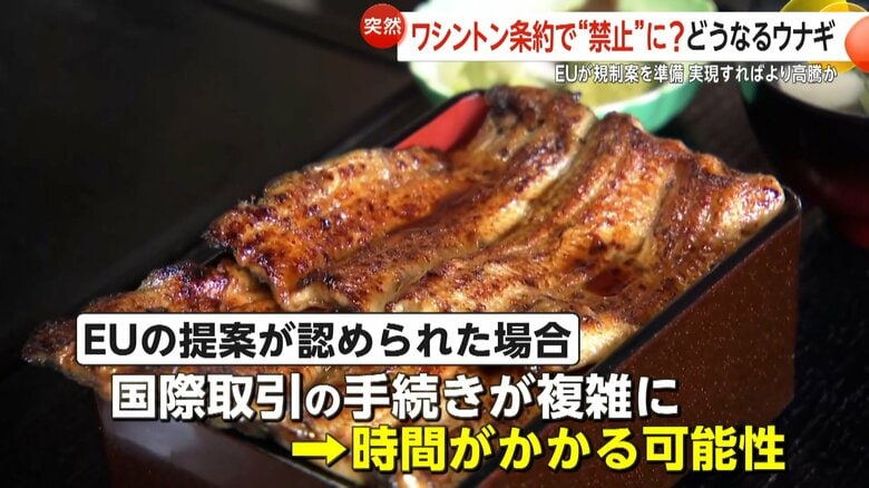 【鰻がピンチ？】「廃業も出てくるんじゃないか」EUがワシントン条約で“ウナギ全種類”の国際取引規制案準備　日本は約7割が輸入依存で価格高騰の可能性も｜FNNプライムオンライン
