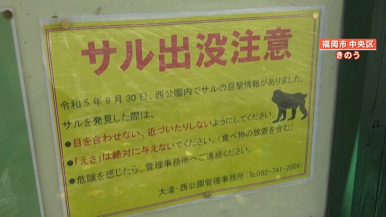 サル出没注意の張り紙