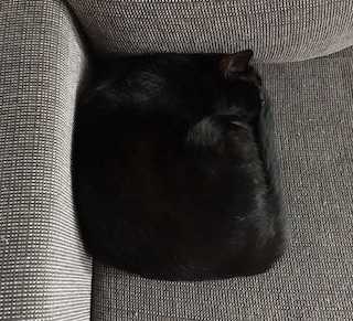 別の角度からみてもやっぱり四角だ